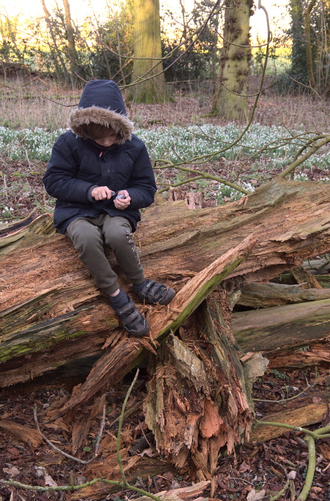 Harry does a bit of whittling from Snowdrops at Talconeston Hall, Tacolneston, Norfolk - 7th February 2020