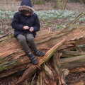 Harry does a bit of whittling, Snowdrops at Talconeston Hall, Tacolneston, Norfolk - 7th February 2020