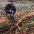 Harry does a bit of whittling, Snowdrops at Talconeston Hall, Tacolneston, Norfolk - 7th February 2020