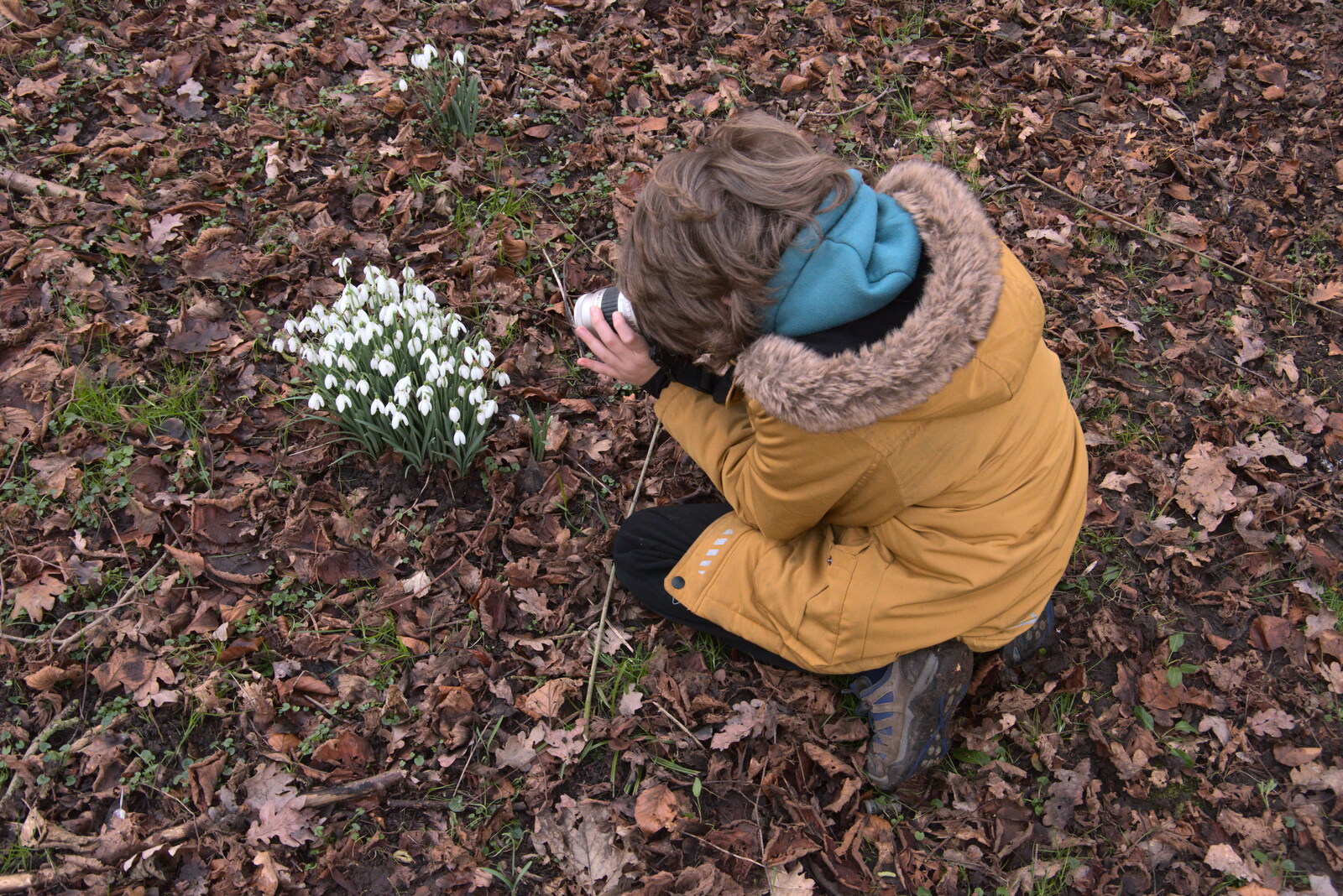 Fred photographs the snowdrops from Snowdrops at Talconeston Hall, Tacolneston, Norfolk - 7th February 2020