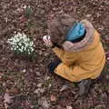 Fred photographs the snowdrops, Snowdrops at Talconeston Hall, Tacolneston, Norfolk - 7th February 2020