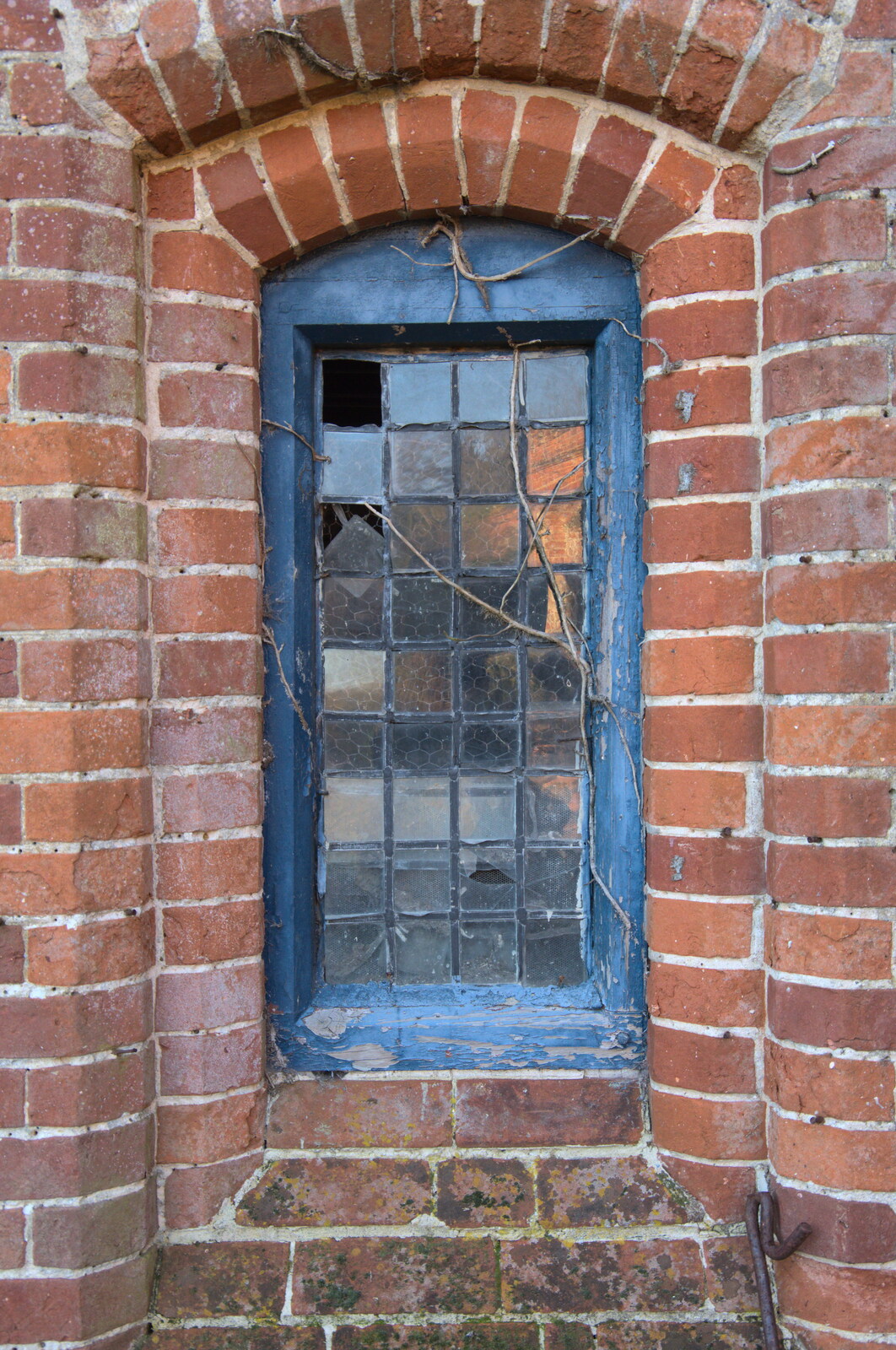 A distressed window from Snowdrops at Talconeston Hall, Tacolneston, Norfolk - 7th February 2020