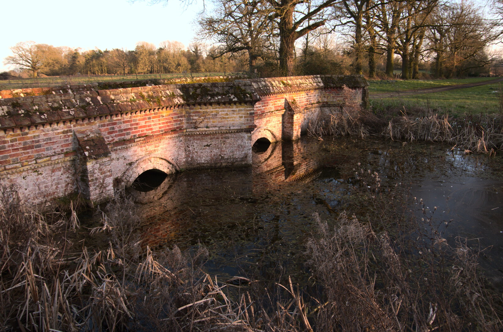 The bridge over the pond from Snowdrops at Talconeston Hall, Tacolneston, Norfolk - 7th February 2020