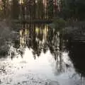 Reflections in the pond, Snowdrops at Talconeston Hall, Tacolneston, Norfolk - 7th February 2020