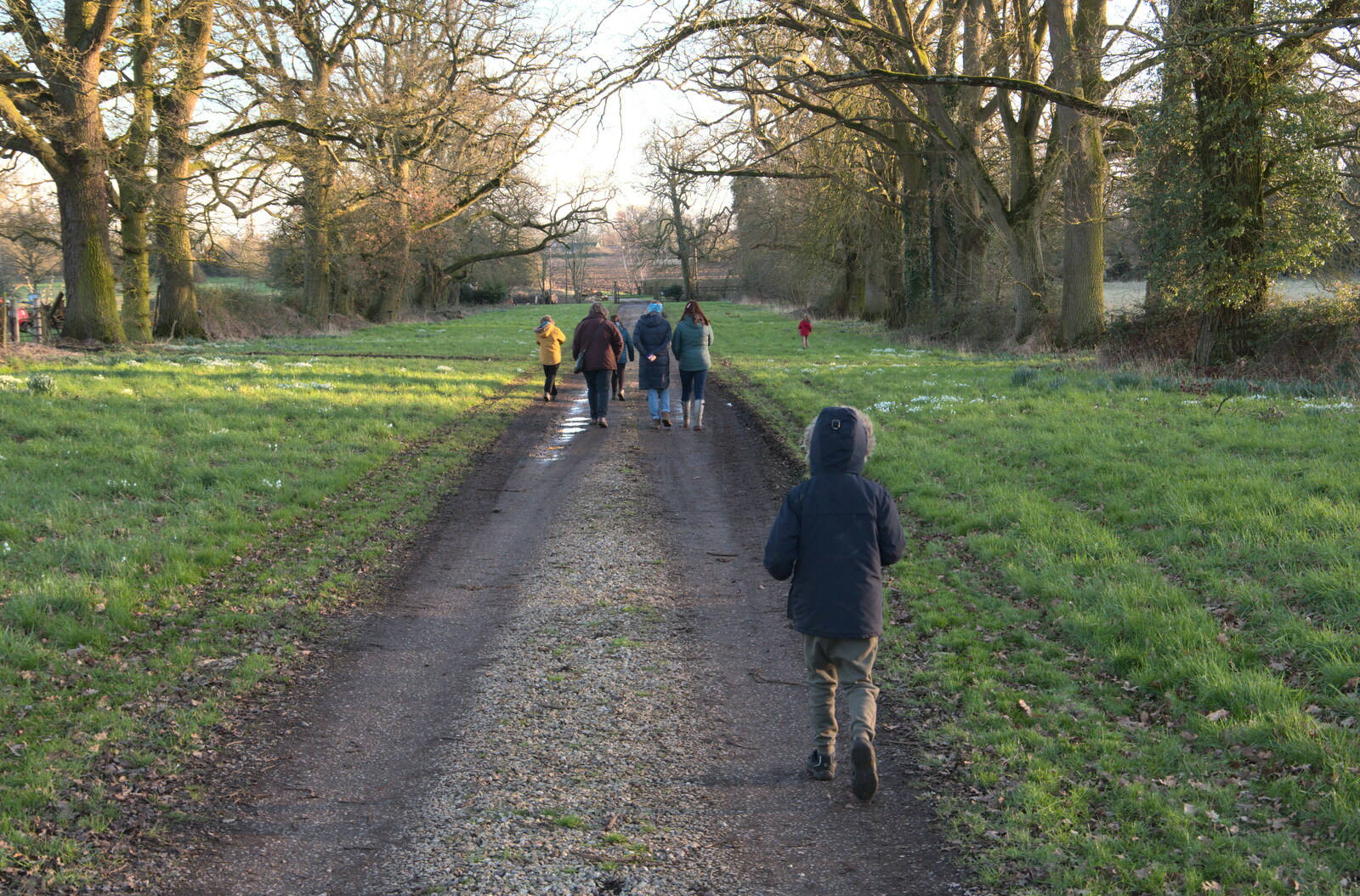 On the drive back to the road from Snowdrops at Talconeston Hall, Tacolneston, Norfolk - 7th February 2020