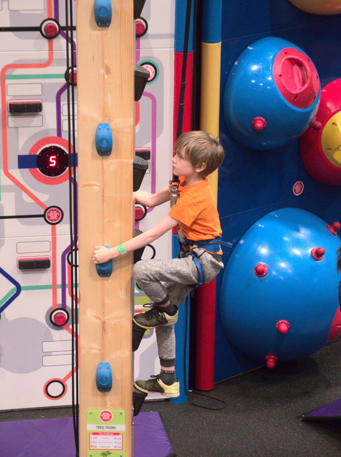 Harry scales a pole from Clip and Climb, The Havens, Ipswich - 15th February 2020