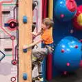 Harry scales a pole, Clip and Climb, The Havens, Ipswich - 15th February 2020