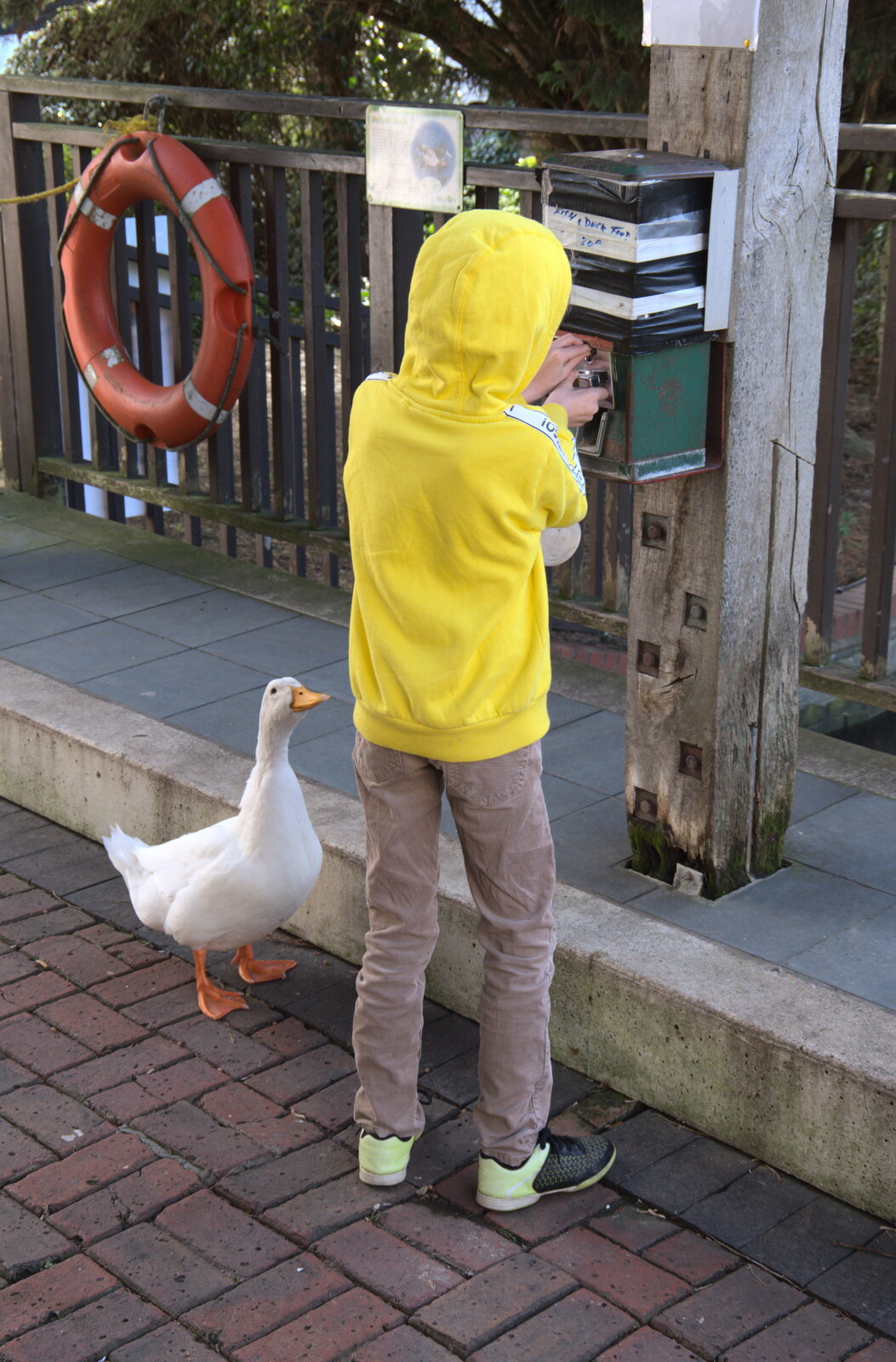 Harry gets more food for a hopeful duck from HMS Belfast and the South Bank, Southwark, London - 17th February 2020
