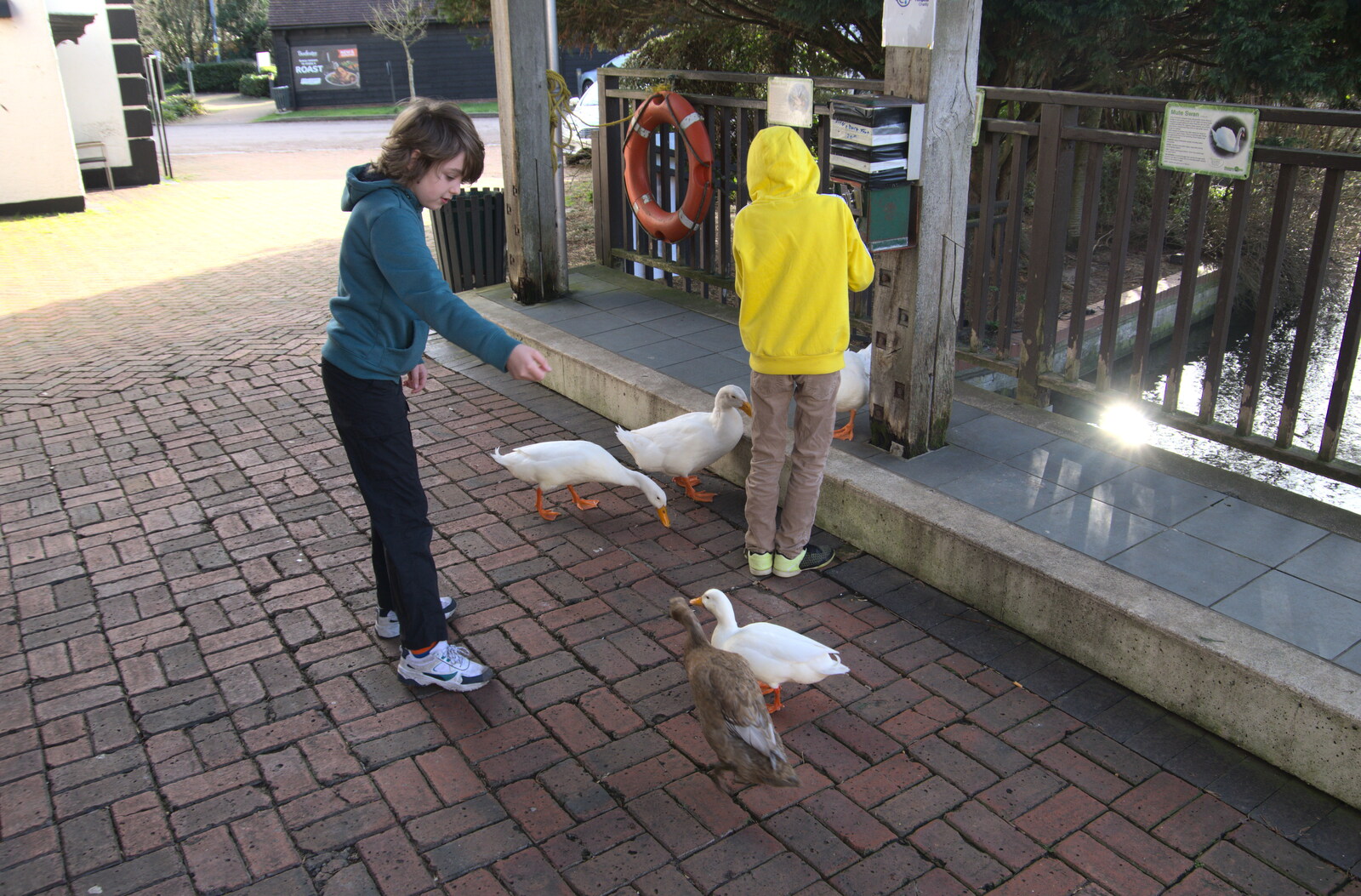 The boys are surrounded by ducks from HMS Belfast and the South Bank, Southwark, London - 17th February 2020