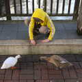 Harry gets close to the ducks, HMS Belfast and the South Bank, Southwark, London - 17th February 2020