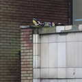 There's a scooter on a roof, Fred's Flute Exam, Ipswich, Suffolk - 5th March 2020