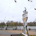 Pigeons wheel about in the skies above the Mere, A Trip to High Lodge, Brandon, Suffolk - 7th March 2020