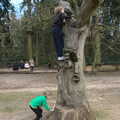 The boys are up a tree, minutes after arrival, A Trip to High Lodge, Brandon, Suffolk - 7th March 2020