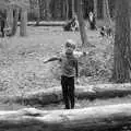 Harry points with a stick, A Trip to High Lodge, Brandon, Suffolk - 7th March 2020