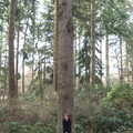 Fred is as one with the tree, A Trip to High Lodge, Brandon, Suffolk - 7th March 2020