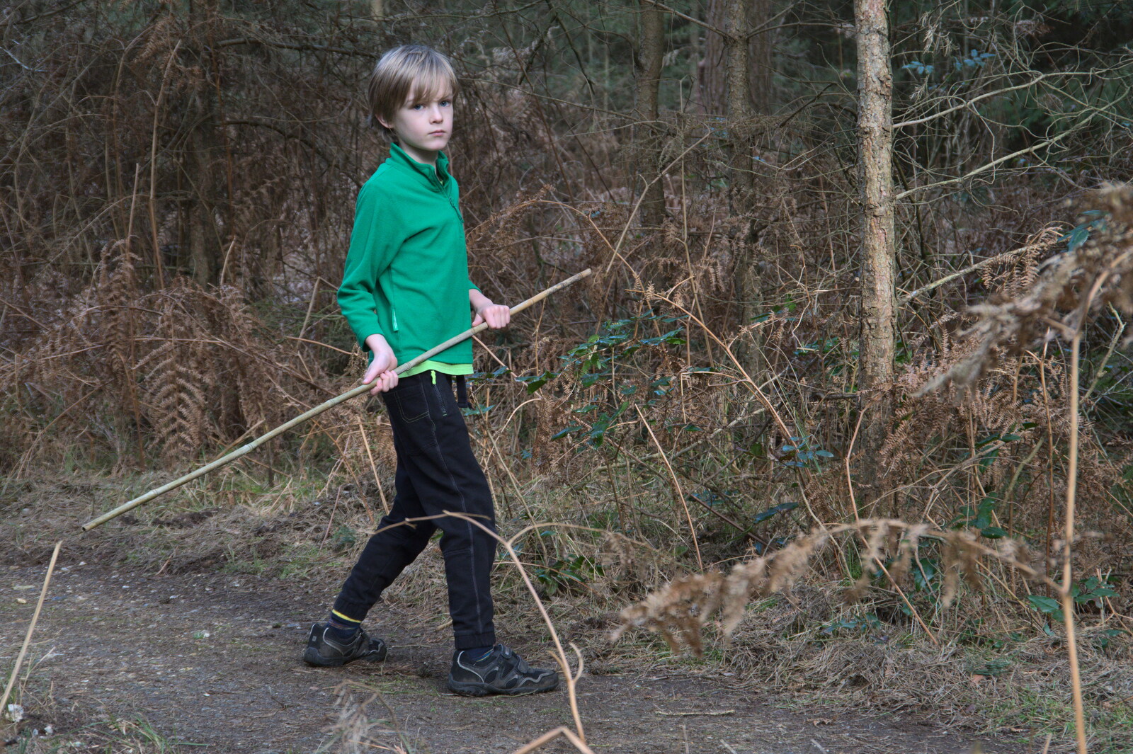 Harry pokes stuff with his stick from A Trip to High Lodge, Brandon, Suffolk - 7th March 2020
