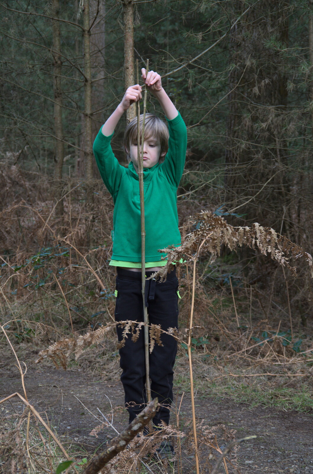 Thwacking things with a stick eventually breaks it from A Trip to High Lodge, Brandon, Suffolk - 7th March 2020