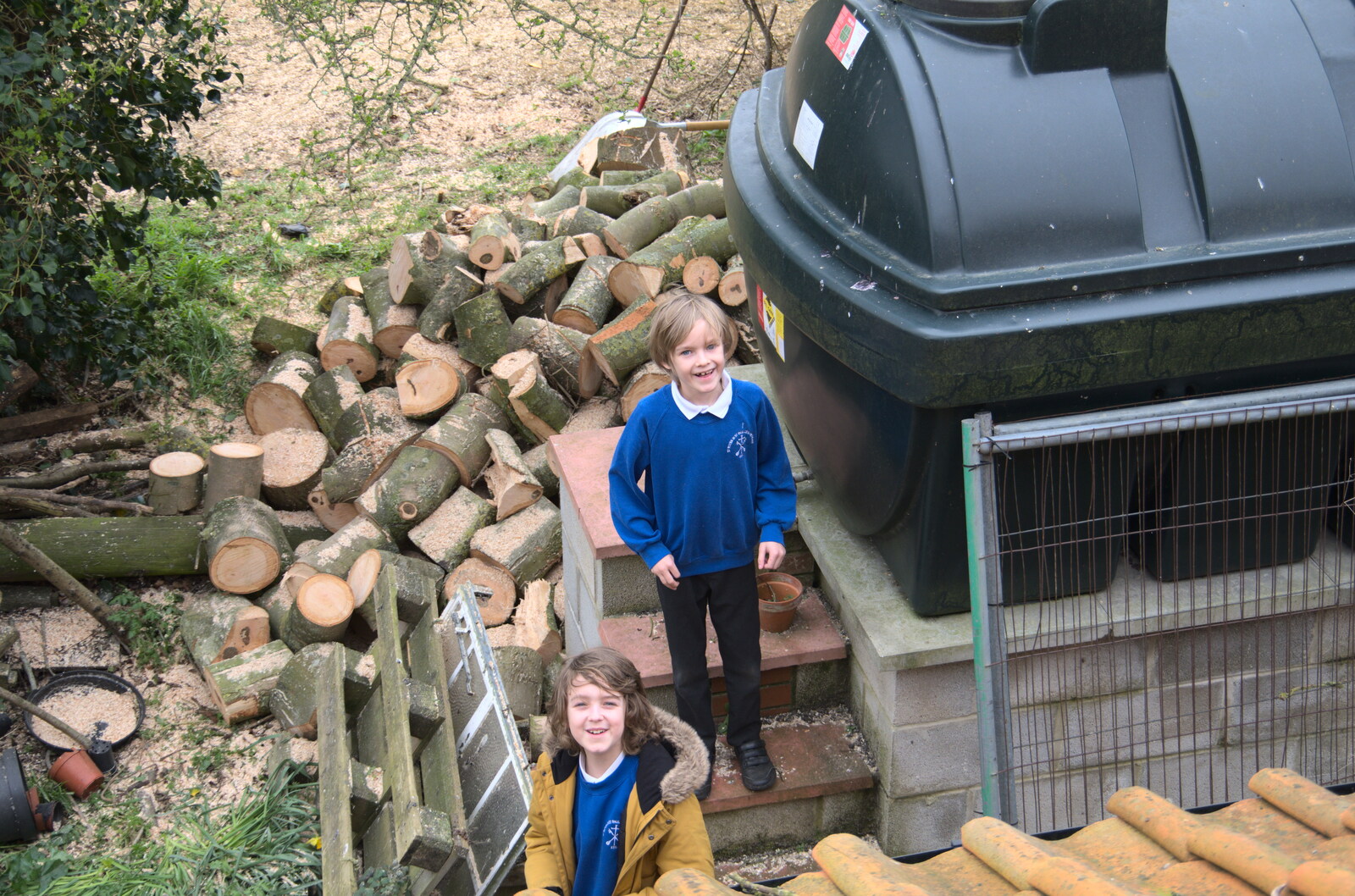 The boys explore the new wood pile from Life Before Lockdown: A March Miscellany - 22nd March 2020