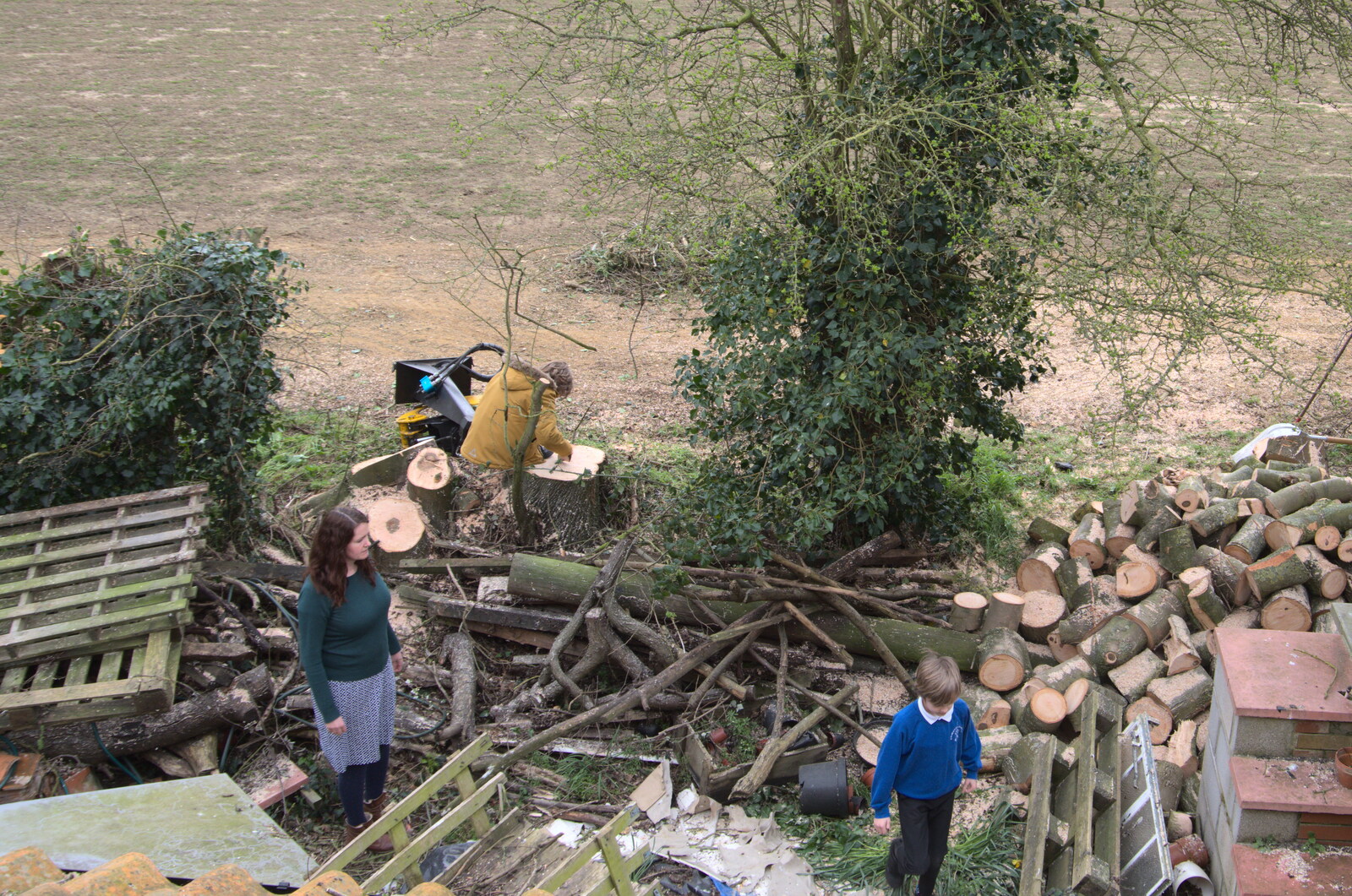 The gang run around inspecting the new log pile from Life Before Lockdown: A March Miscellany - 22nd March 2020