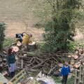 The gang run around inspecting the new log pile, Life Before Lockdown: A March Miscellany - 22nd March 2020