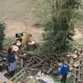 The gang run around inspecting the new log pile, Life Before Lockdown: A March Miscellany - 22nd March 2020