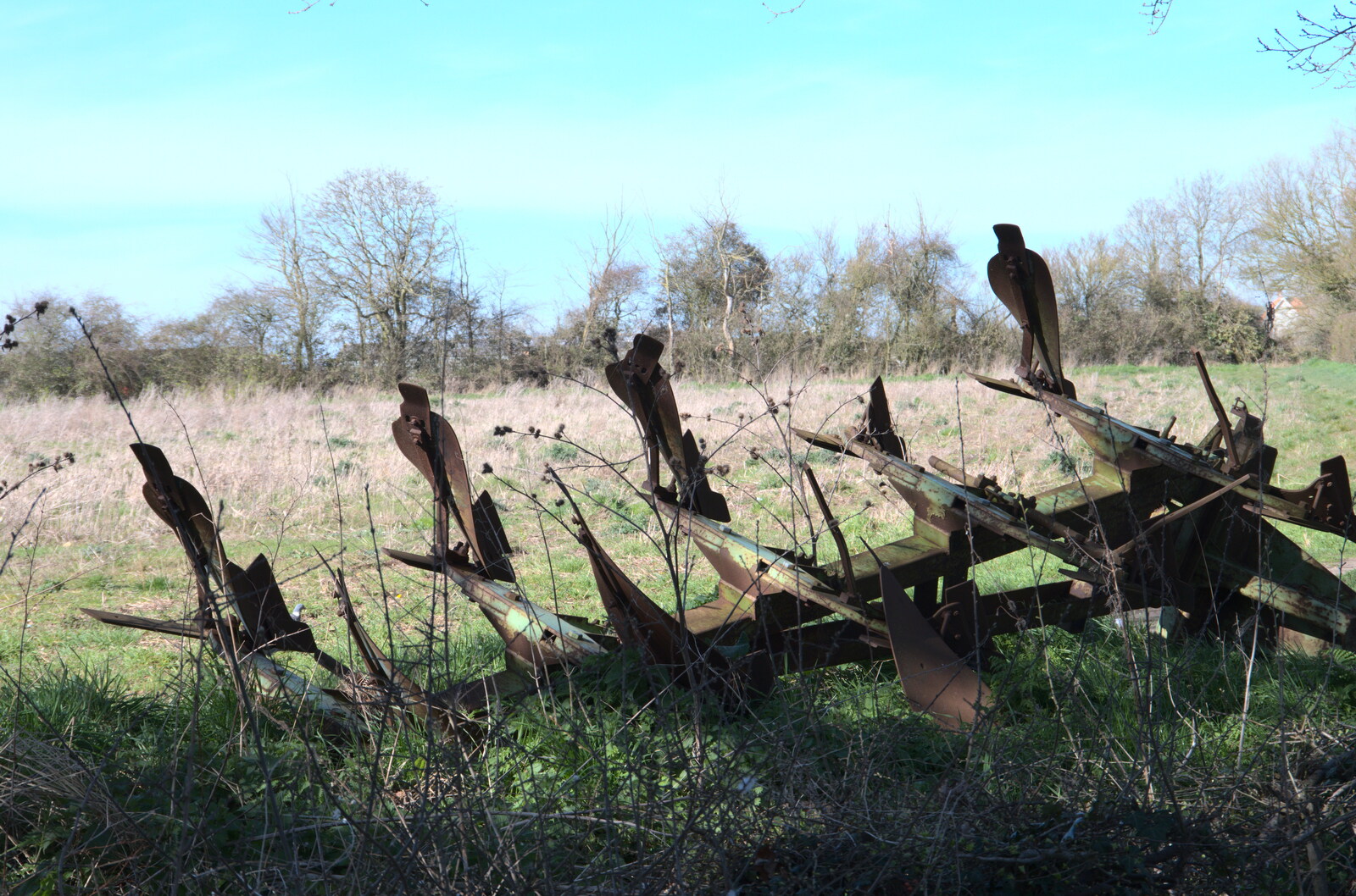 The 'perching falcons' on Victoria Hill  from Life Before Lockdown: A March Miscellany - 22nd March 2020