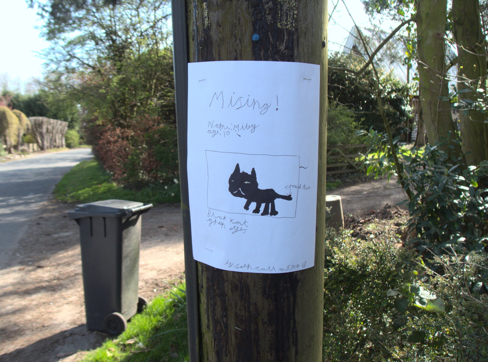 Lost cat poster for Millie the Mooch from An April Lockdown Miscellany, Eye, Suffolk - 10th April 2020