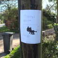 Lost cat poster for Millie the Mooch, An April Lockdown Miscellany, Eye, Suffolk - 10th April 2020