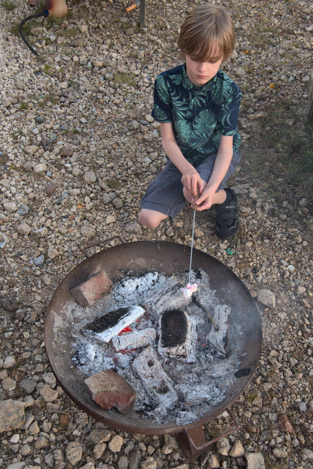 Harry sticks his marshmallow in the embers from An April Lockdown Miscellany, Eye, Suffolk - 10th April 2020