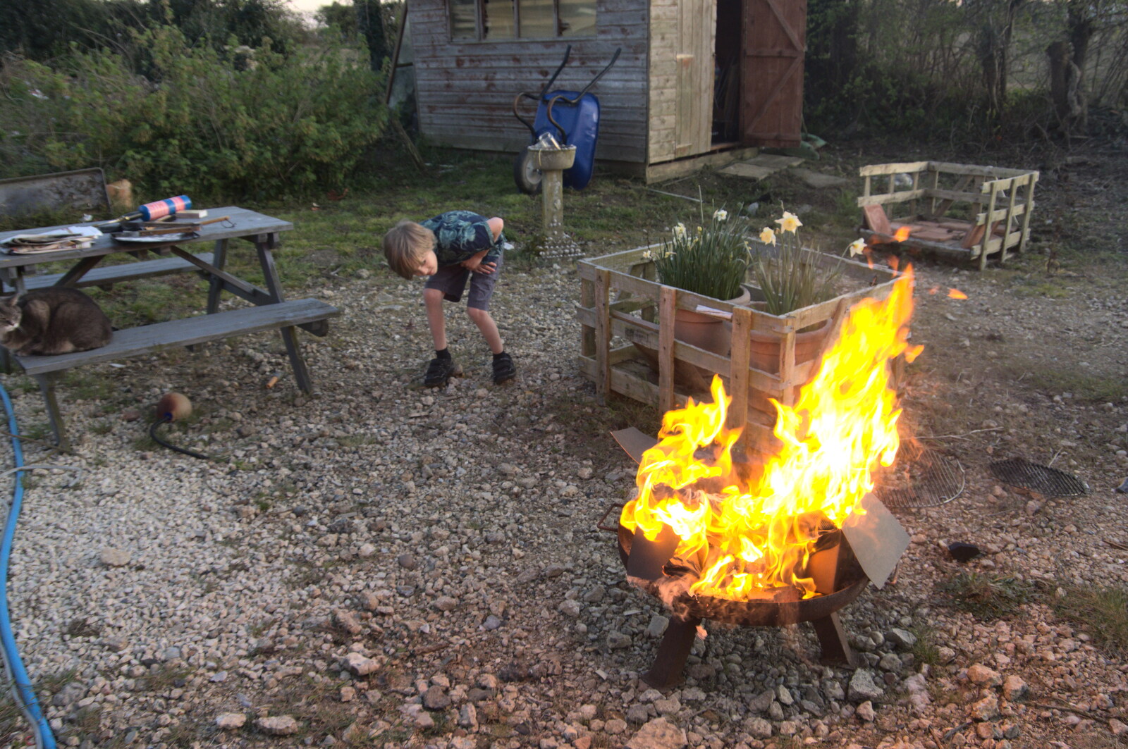 Harry sets fire to a cardboard box from An April Lockdown Miscellany, Eye, Suffolk - 10th April 2020