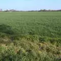 The view from the campsite, A Weekend Camping Trip in the Garden, Brome, Suffolk - 11th April 2020