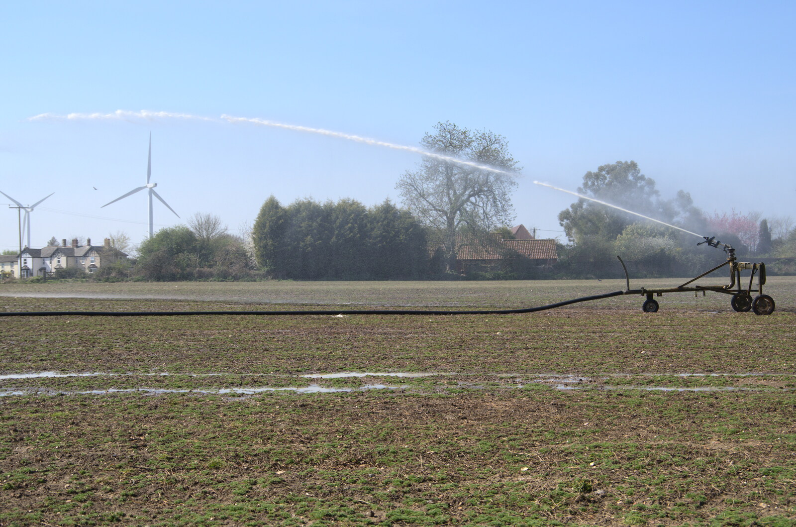 The side field gets some irrigation from A Weekend Camping Trip in the Garden, Brome, Suffolk - 11th April 2020