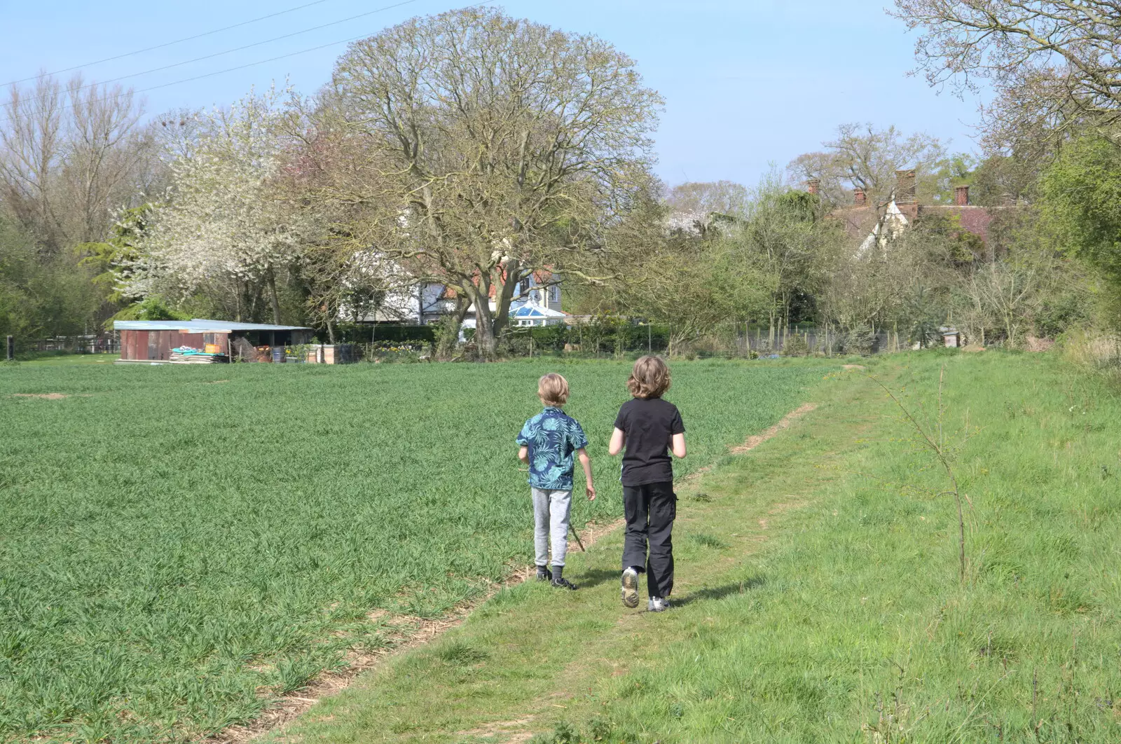 The boys in the field, from A Weekend Camping Trip in the Garden, Brome, Suffolk - 11th April 2020