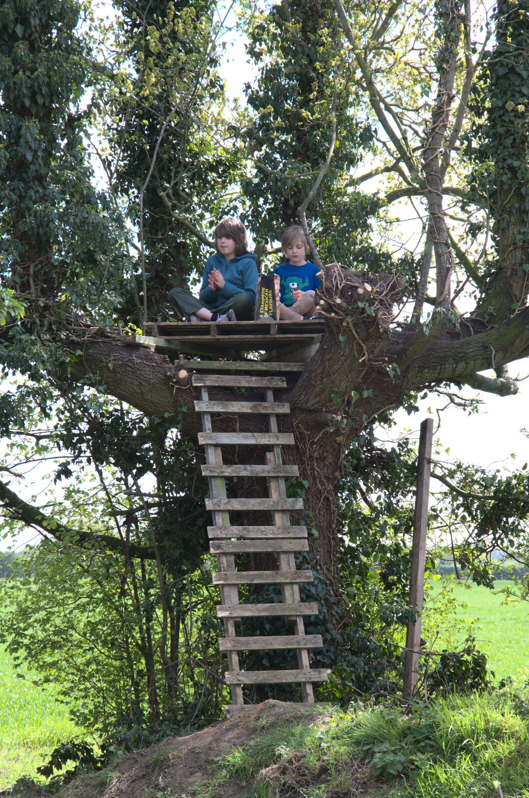 The boys in their tree house from A Weekend Camping Trip in the Garden, Brome, Suffolk - 11th April 2020