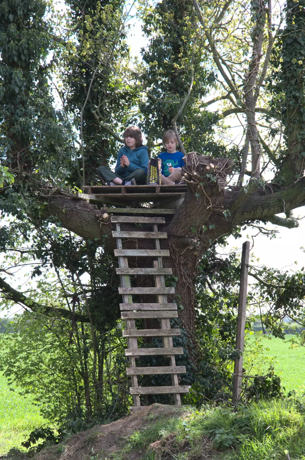 The boys in their tree house, from A Weekend Camping Trip in the Garden, Brome, Suffolk - 11th April 2020