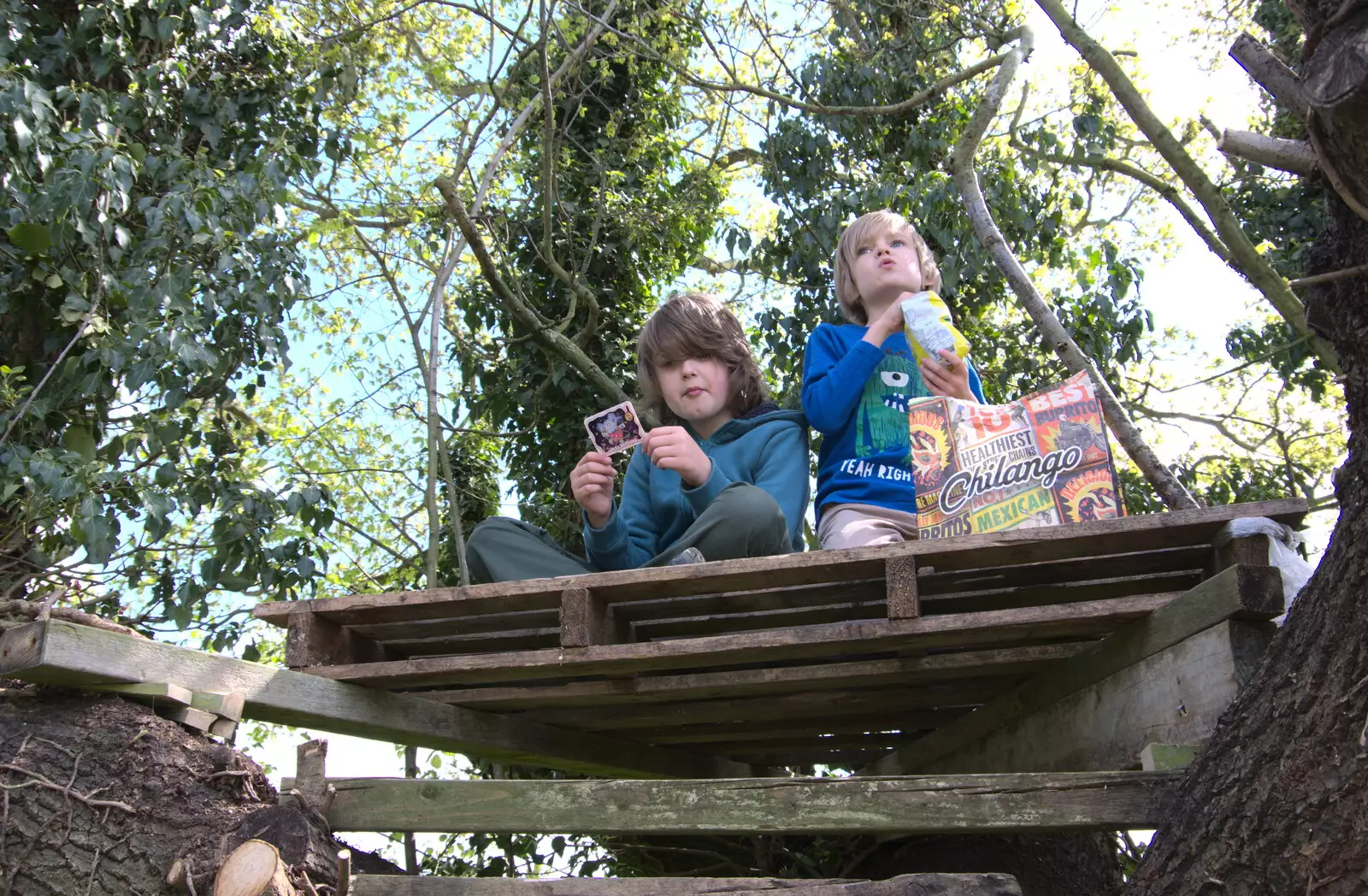 The boys have a picnic up a tree, from A Weekend Camping Trip in the Garden, Brome, Suffolk - 11th April 2020