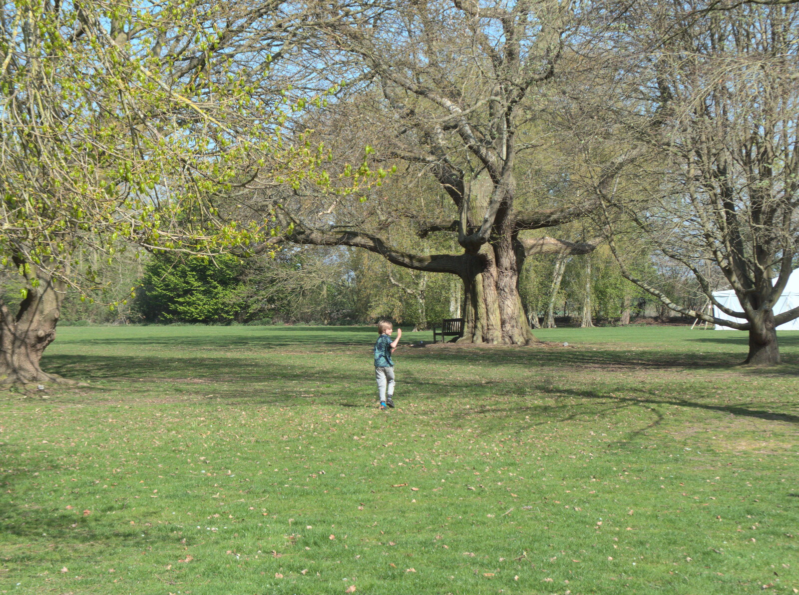 Harry runs around the Oaksmere's grounds from The Lockdown Desertion of Diss, and a Bike Ride up the Avenue, Brome - 19th April 2020
