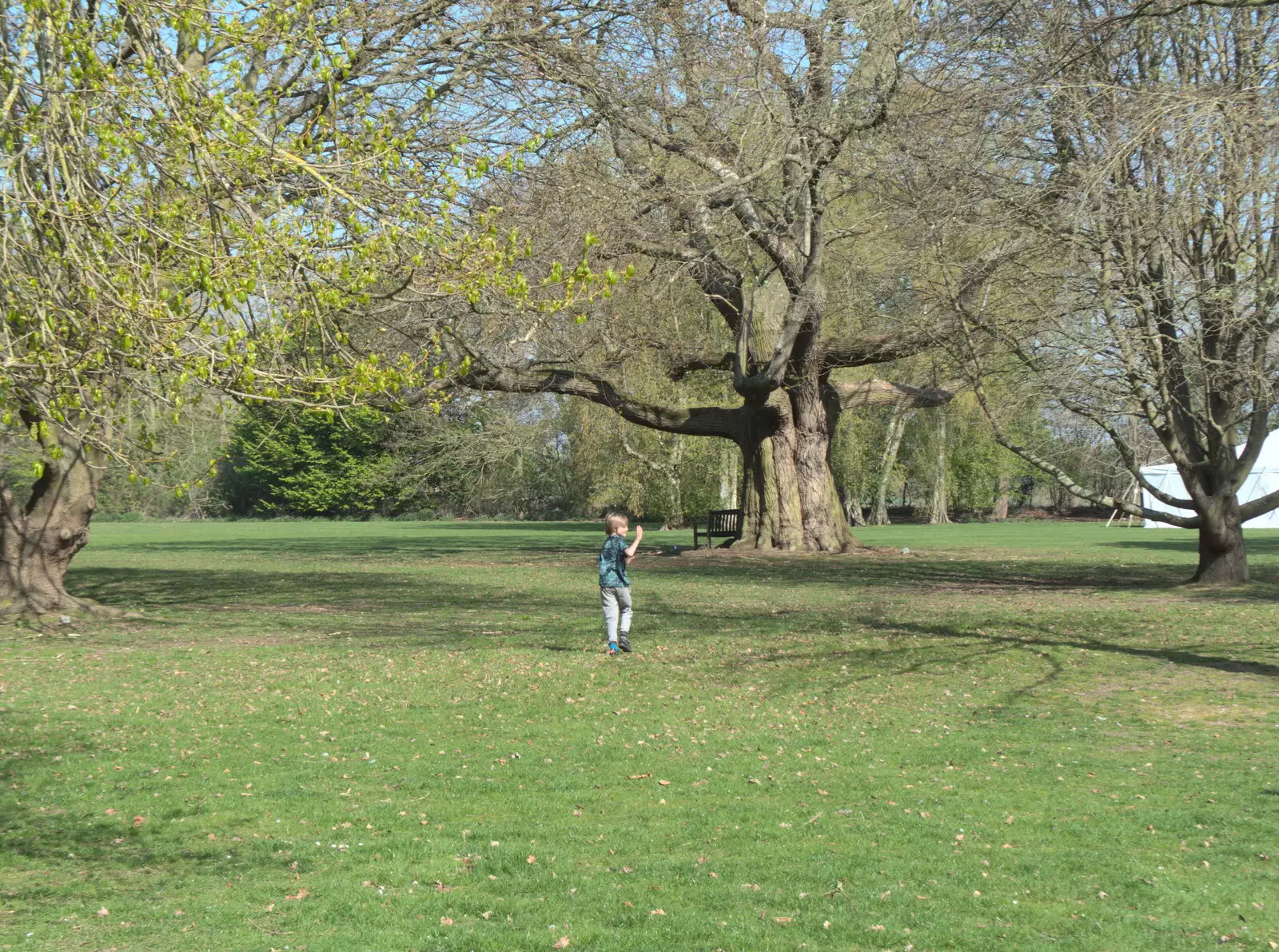 Harry runs around the Oaksmere's grounds, from The Lockdown Desertion of Diss, and a Bike Ride up the Avenue, Brome - 19th April 2020