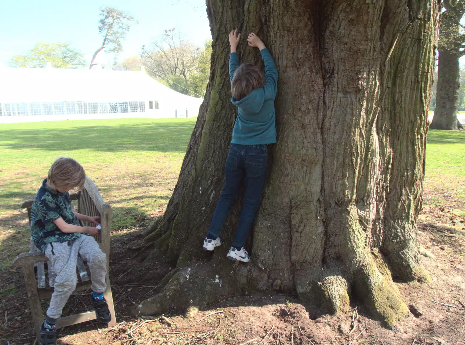 Fred hugs a tree, from The Lockdown Desertion of Diss, and a Bike Ride up the Avenue, Brome - 19th April 2020