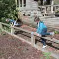 Fred and Harry jump over the fence, The Lockdown Desertion of Diss, and a Bike Ride up the Avenue, Brome - 19th April 2020