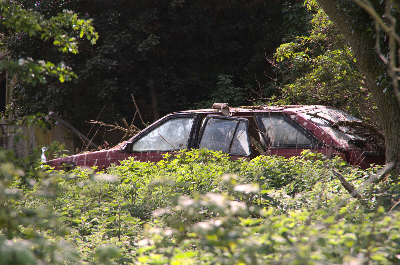 There's a derelict car in the woods from Lost Cat and a Walk on Nick's Lane, Brome, Suffolk - 26th April 2020