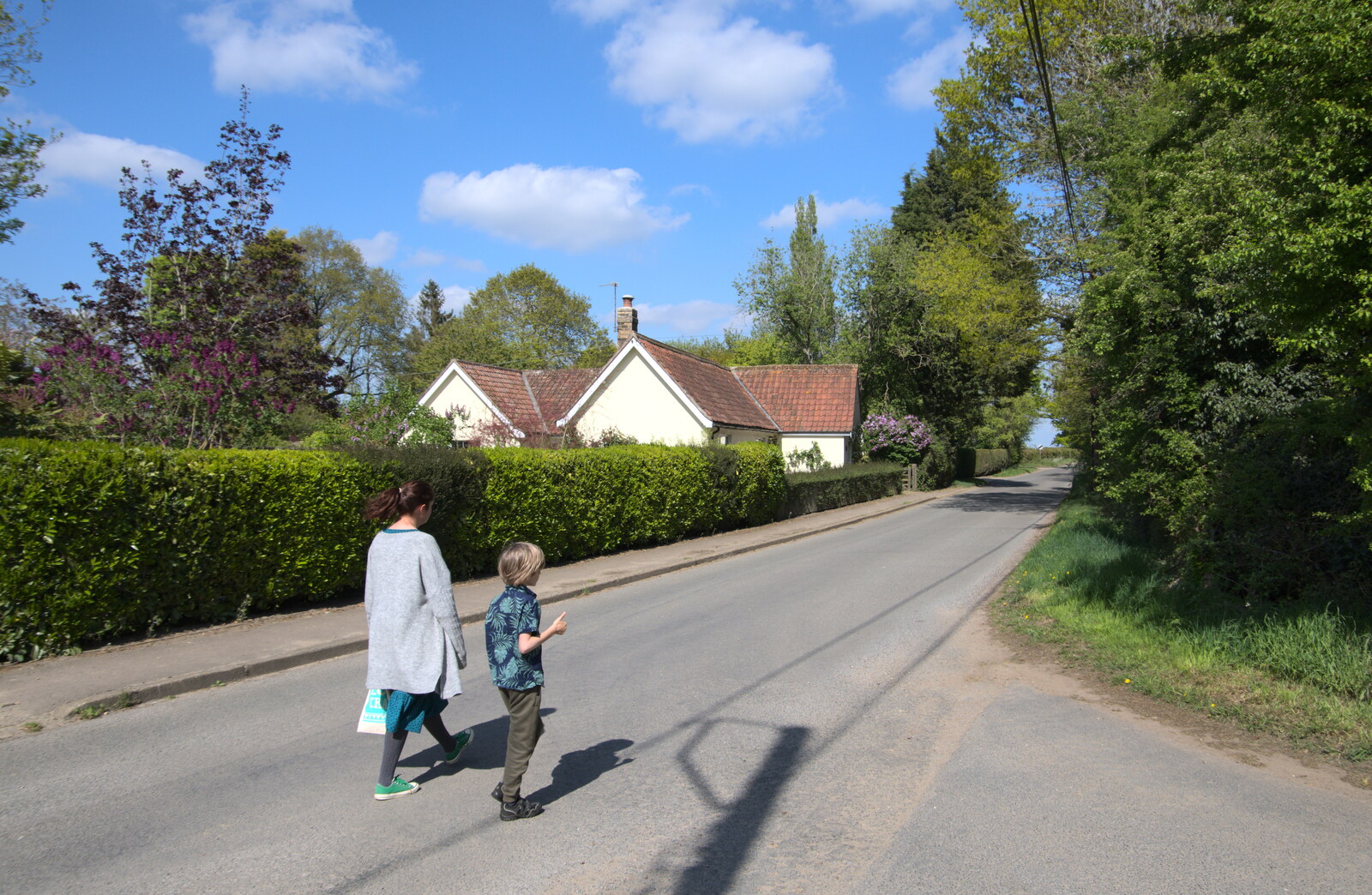 Isobel and Harry are on Brome Street from Lost Cat and a Walk on Nick's Lane, Brome, Suffolk - 26th April 2020