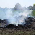 There's a smouldering bonfire on the farm, Lost Cat and a Walk on Nick's Lane, Brome, Suffolk - 26th April 2020