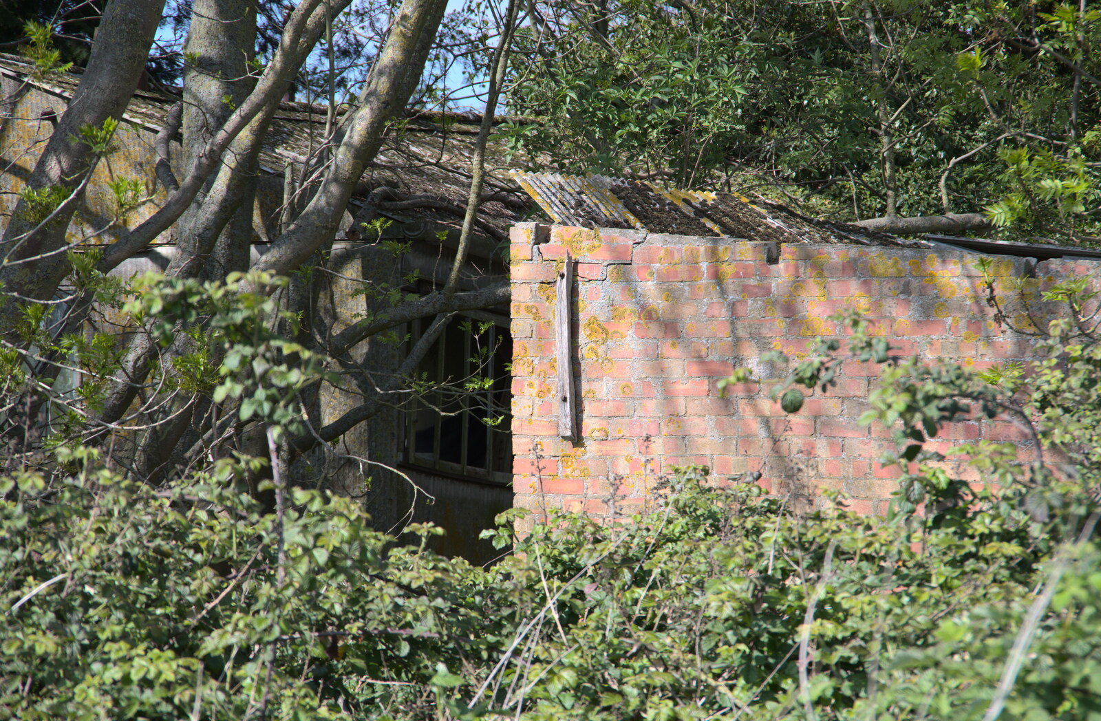 A WWII building from Lost Cat and a Walk on Nick's Lane, Brome, Suffolk - 26th April 2020
