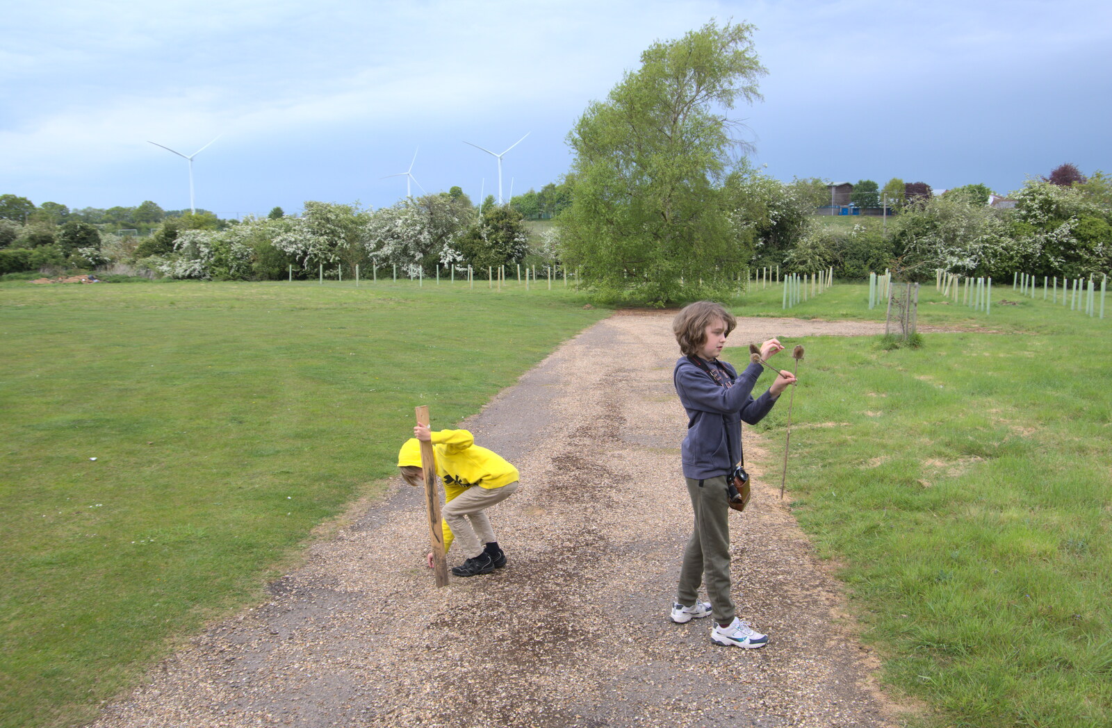 Harry and Fred have got sticks from The Quest for Rapsy Tapsy Lane, Eye, Suffolk - 6th May 2020