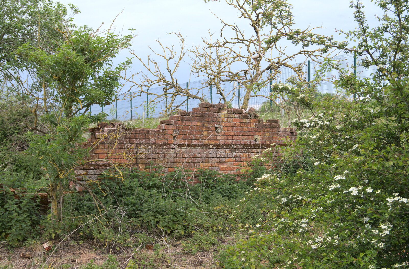 Some derelict cow sheds from The Quest for Rapsy Tapsy Lane, Eye, Suffolk - 6th May 2020