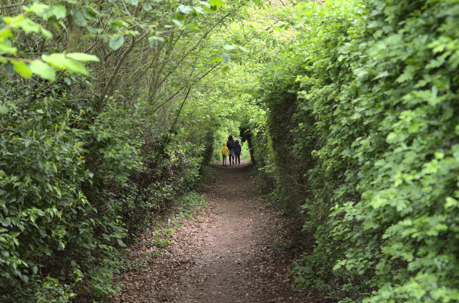 We head down an overgrown path back to Eye from The Quest for Rapsy Tapsy Lane, Eye, Suffolk - 6th May 2020
