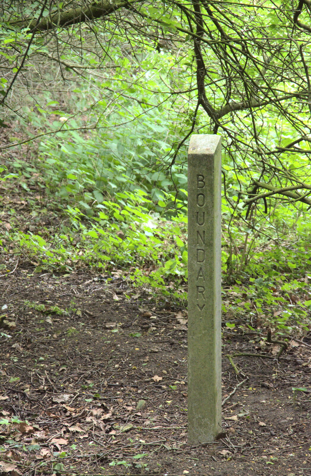 A boundary post from The Quest for Rapsy Tapsy Lane, Eye, Suffolk - 6th May 2020