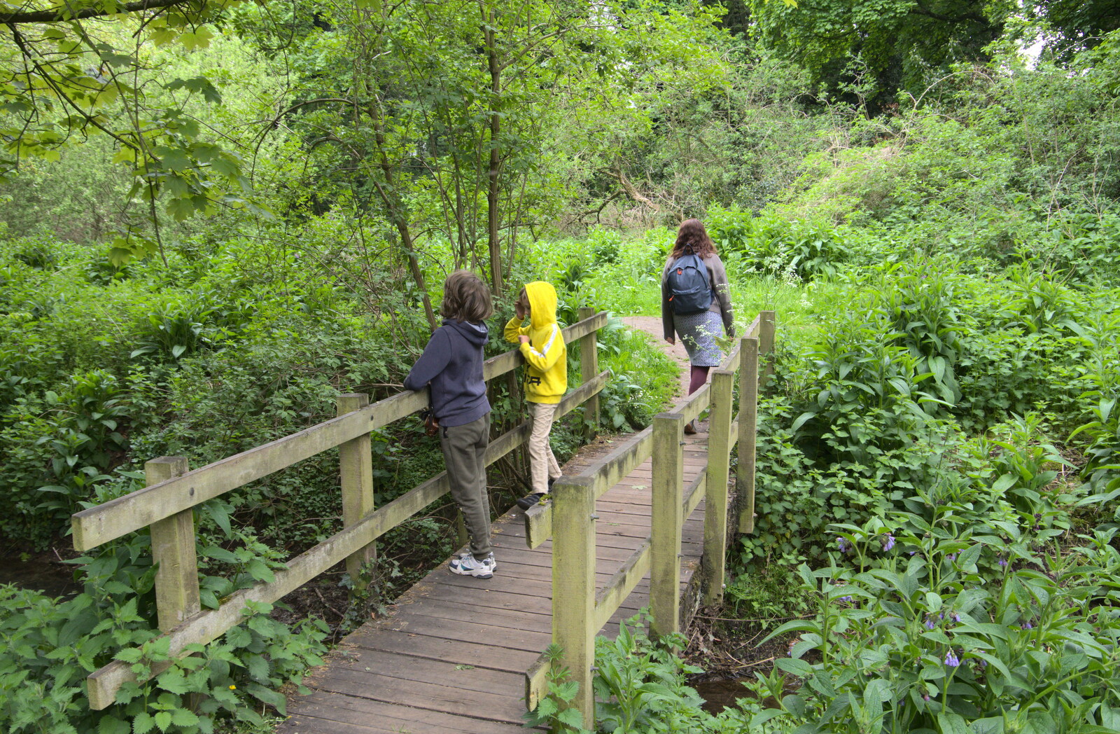 On the bridge in the woods from The Quest for Rapsy Tapsy Lane, Eye, Suffolk - 6th May 2020