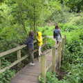 On the bridge in the woods, The Quest for Rapsy Tapsy Lane, Eye, Suffolk - 6th May 2020